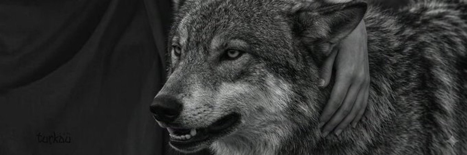 Ayaz‘ﾟ's banner