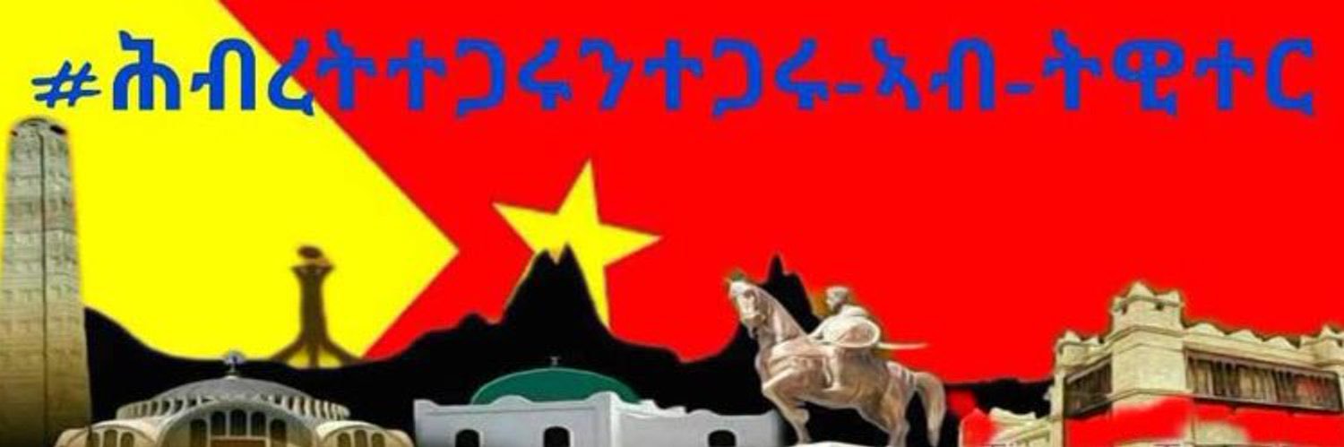 Zewdi Abraha's banner