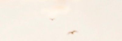 pure moments's banner