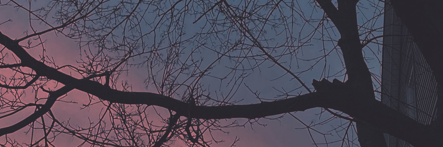 Citrus 🍋's banner