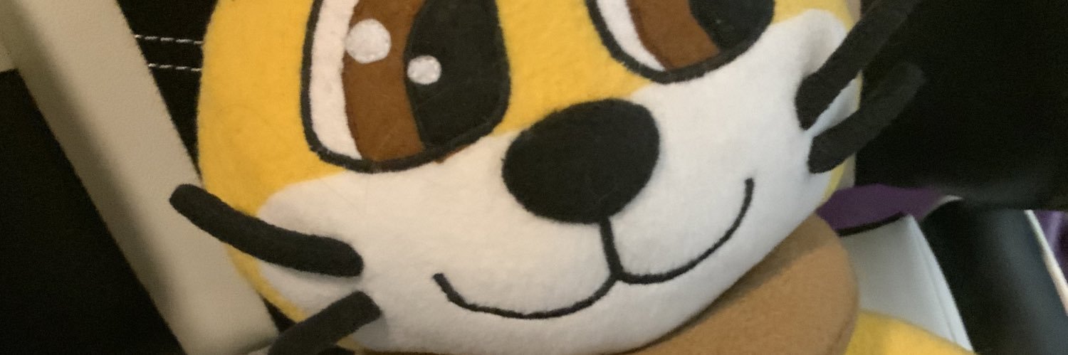 Braylims's banner