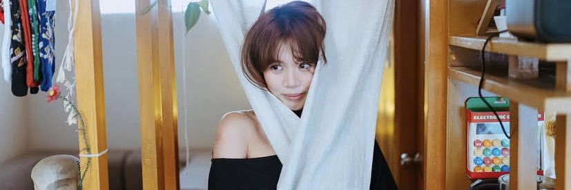tine's banner