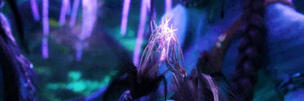 DevPatelZuko's banner