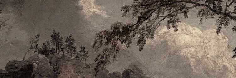 t 🌿's banner