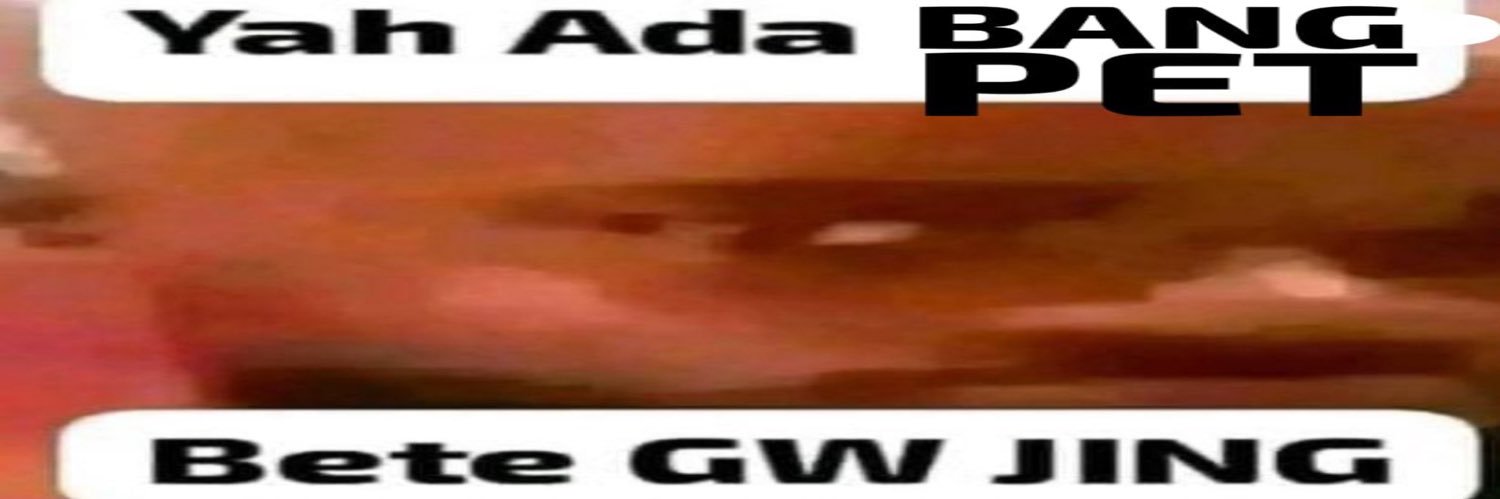 bang pet's banner
