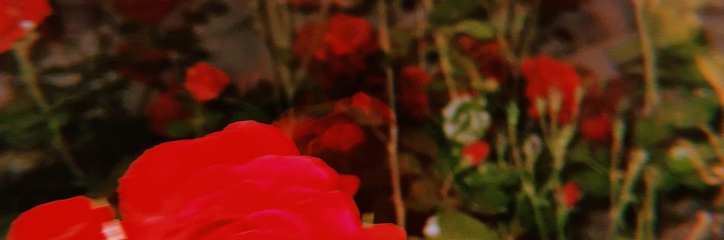 ᴡɴᴅꜱ.ᴍᴏʀɴɪɴɢ ⛅️🧸🪐's banner