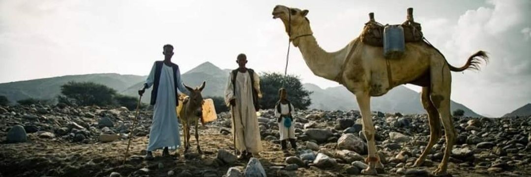 Wedi Jelhanti 🇪🇷's banner