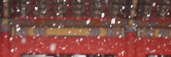 桃之夭夭（🌸互FO🌸）'s banner