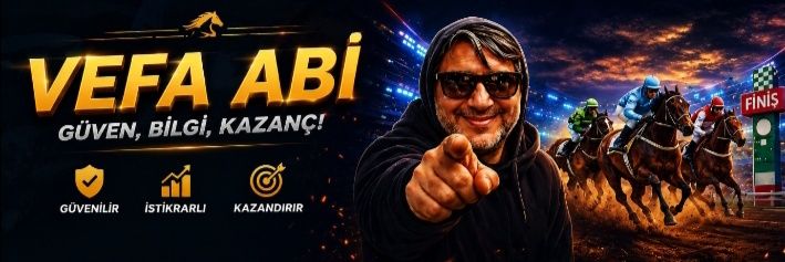 Vefa Abi's banner