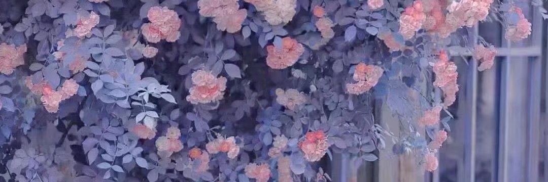 重生之海底蟹黄堡's banner