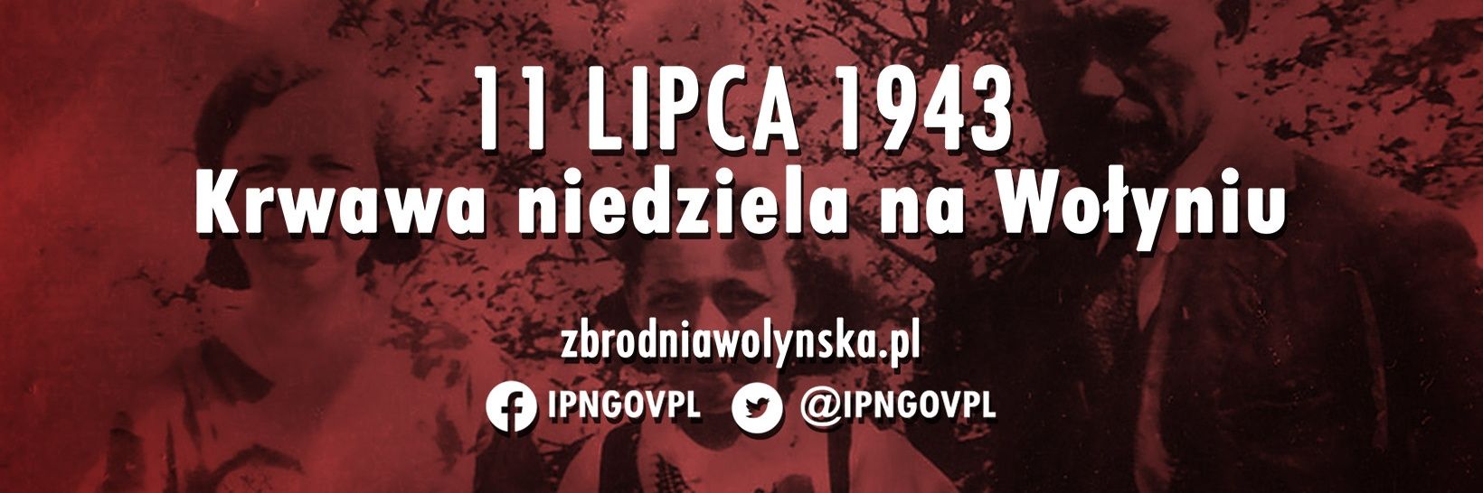 Jan Długosz's banner