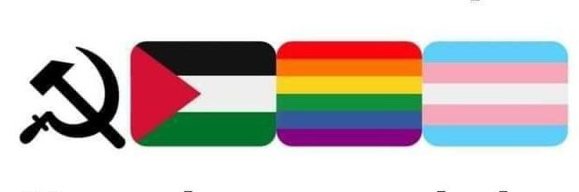 Kefuerte 🇮🇷🙈🐷🏳️‍🌈♦️🍌's banner