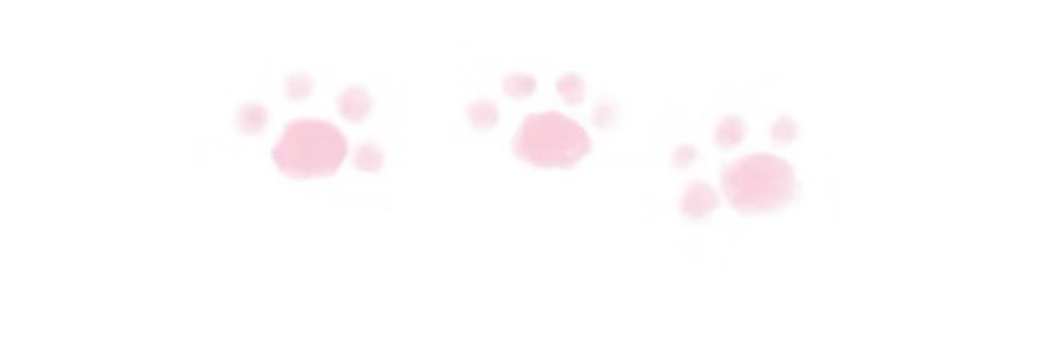 青年音の🐶's banner