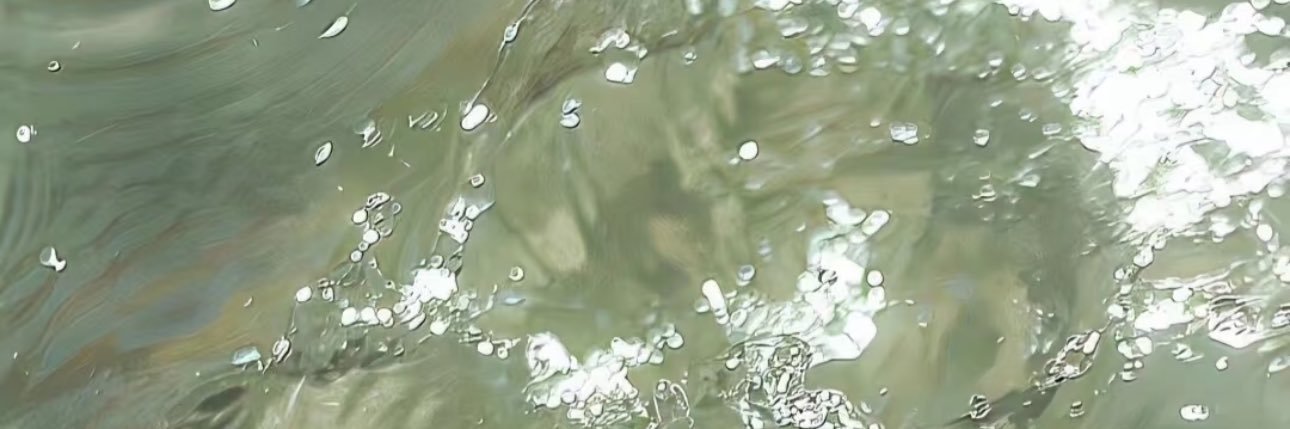 wobushiwunwun's banner