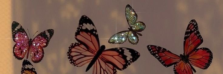 Rae, The Butterfly🦋💐's banner