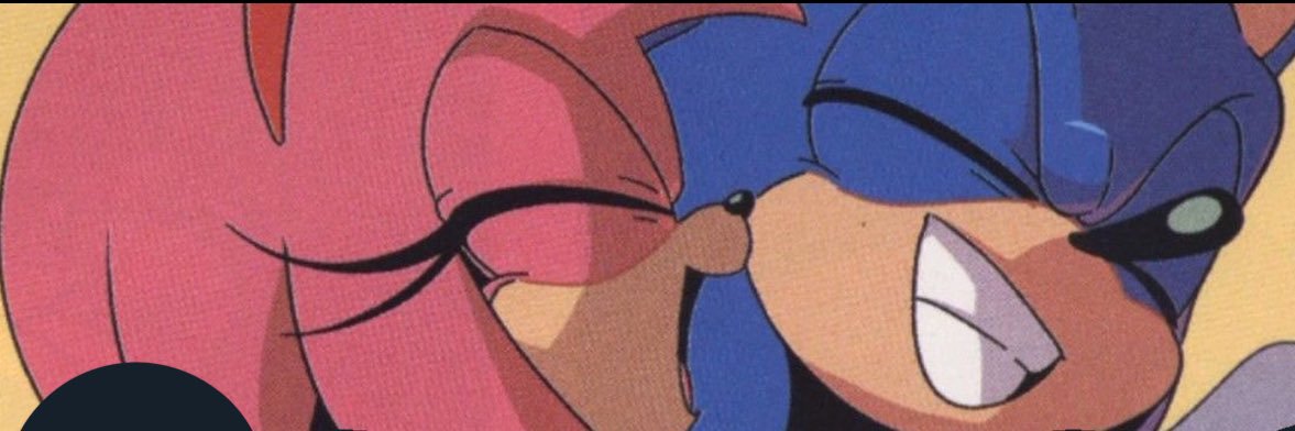 SonAmy Loops || temp hiatus's banner