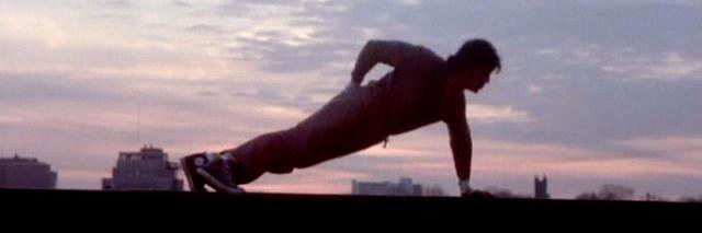 Ricardo Fioravanti's banner