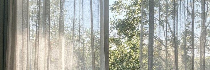 laren's banner