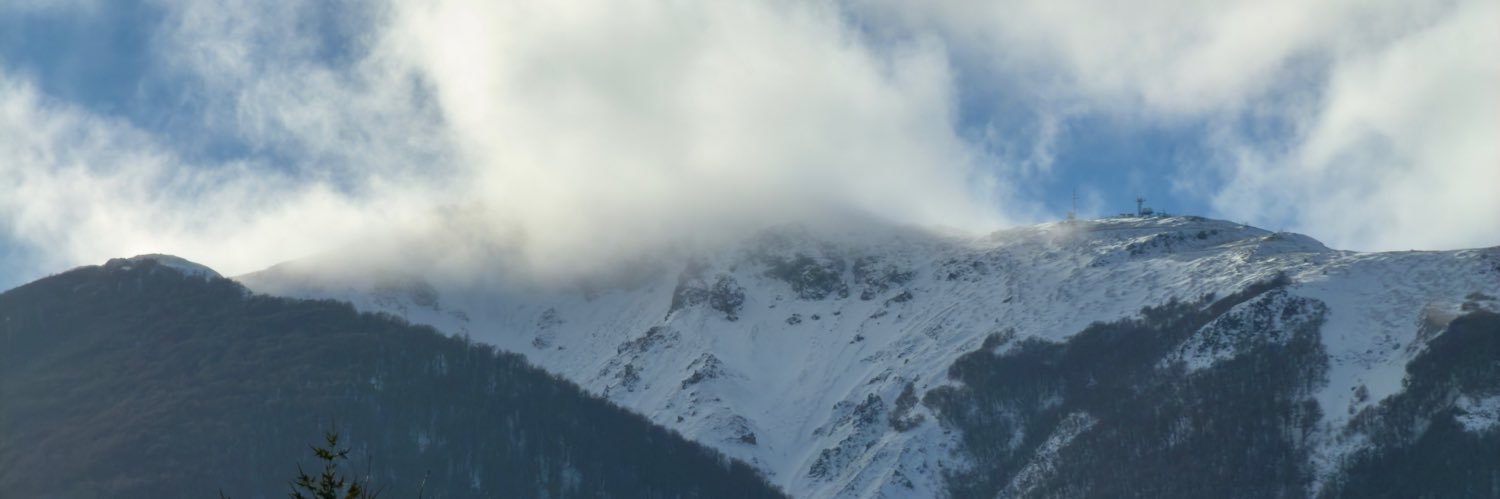 Koller's banner
