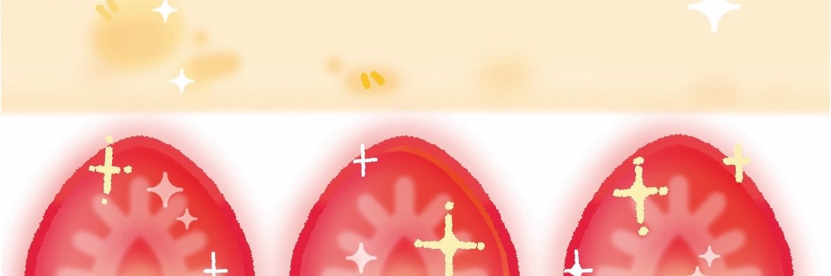 🍅☆คุณก้อนกลม ⭐️'s banner