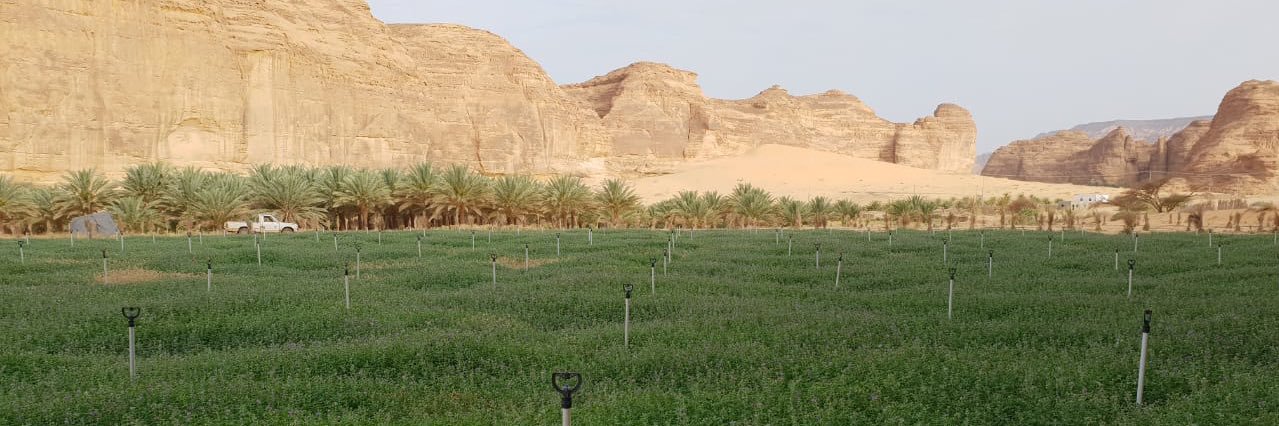 هليل البلوي's banner
