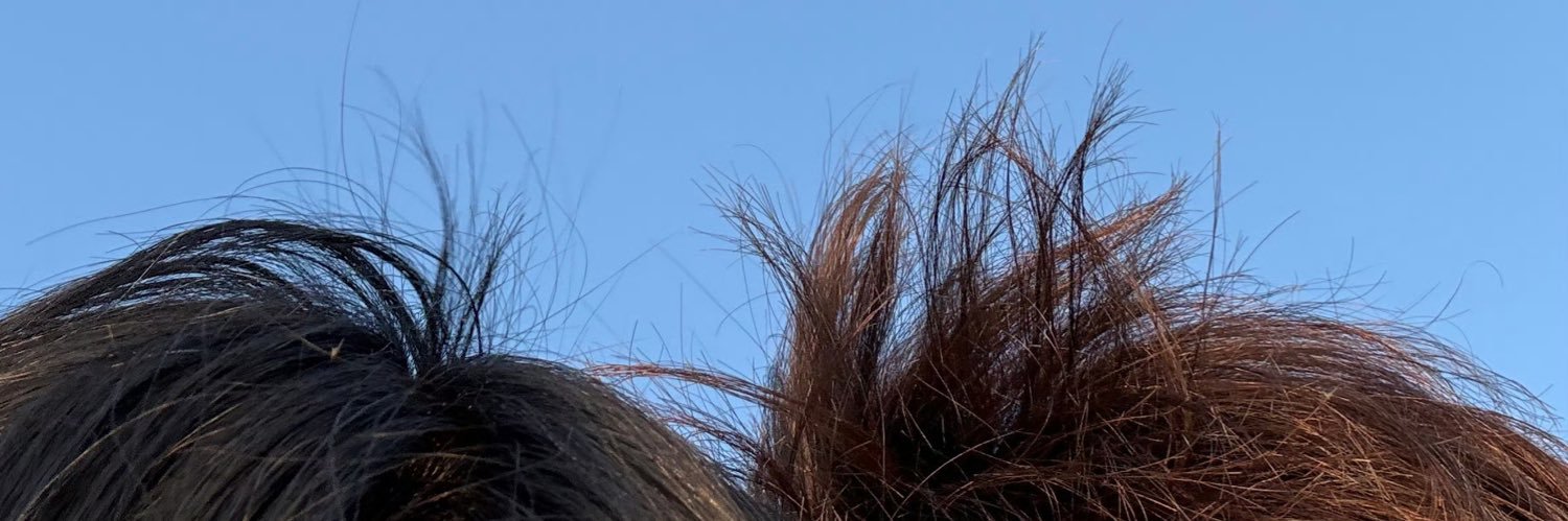橙子飞了's banner