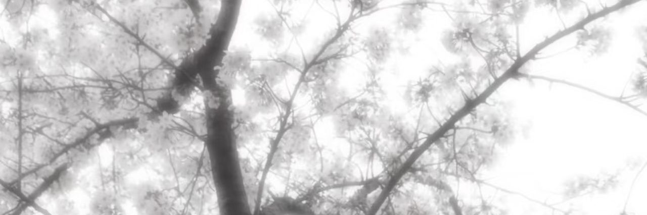 夢遊戰士's banner