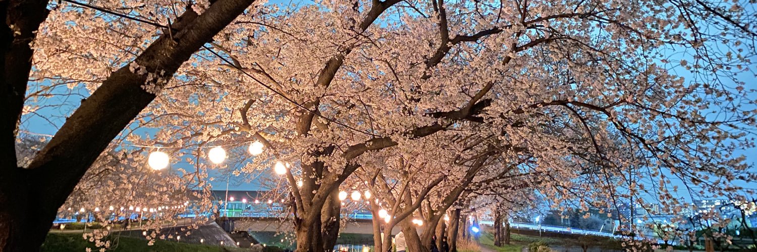 平野微紫耀's banner
