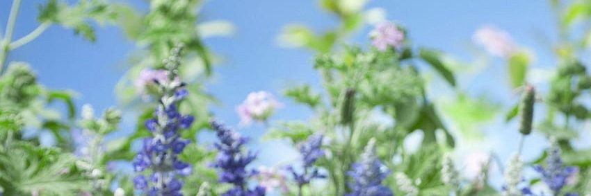 KREMI (inactive)'s banner