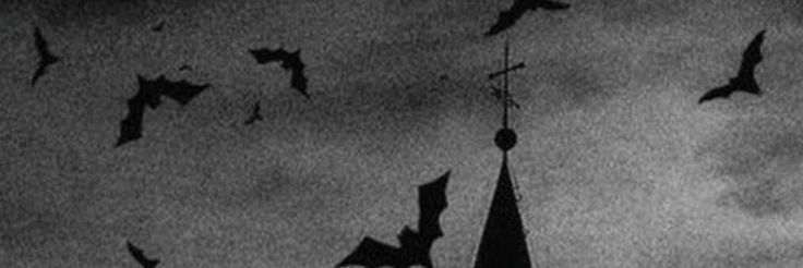 VI's banner