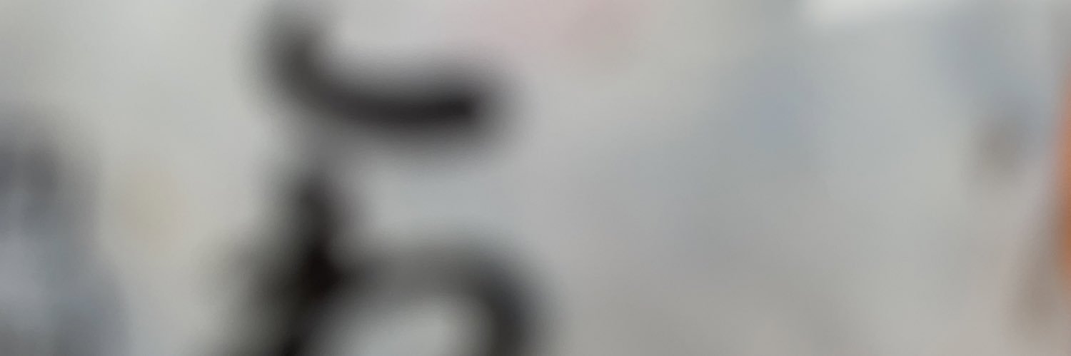 にっしん's banner