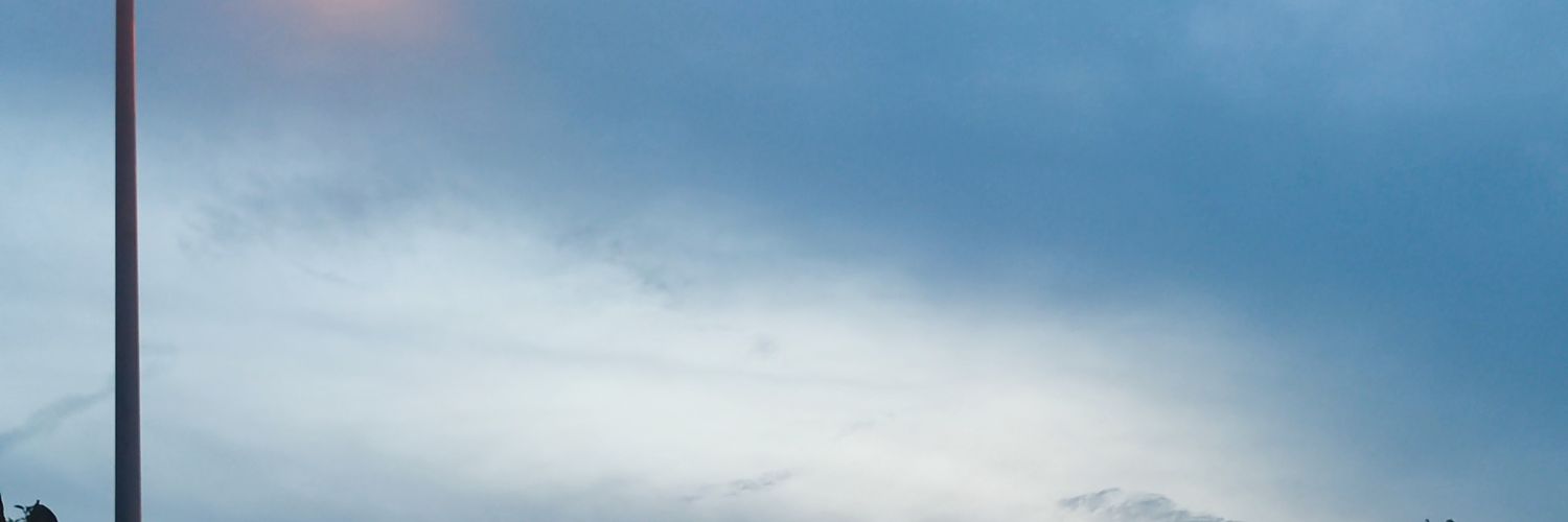 十五's banner
