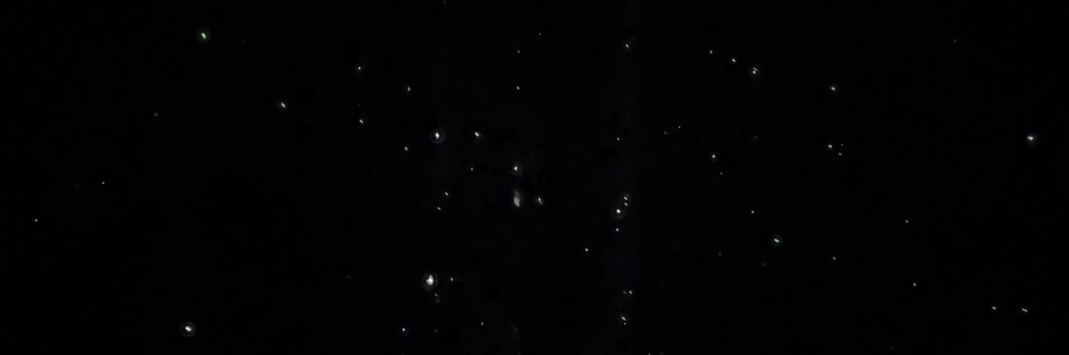 elite's banner