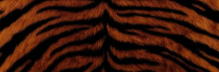 imaladybug's banner