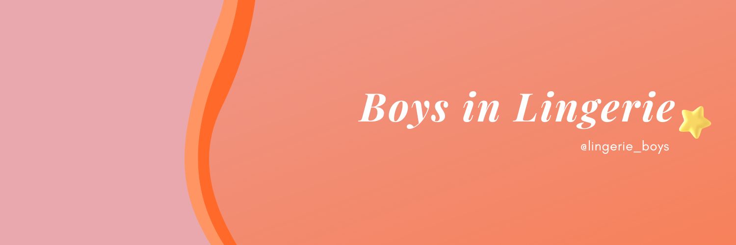 Boys in Lingerie's banner