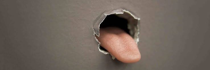 BIG DICK SUCKERS👅💦's banner