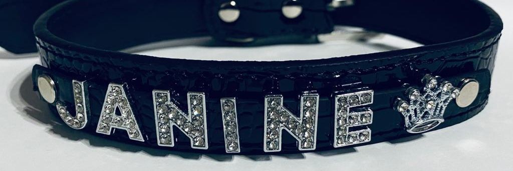 Queen Janine 👑's banner