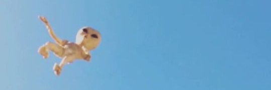 Shay's banner