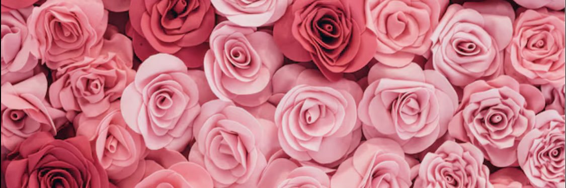 The Petite Doll 💕✨😛's banner