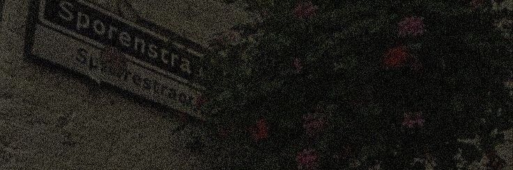 Kairo🕷's banner