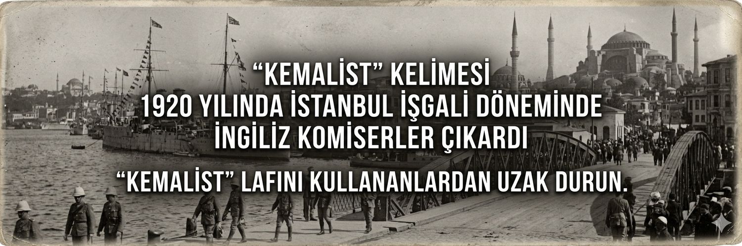 🅰️DANALI TRADER's banner