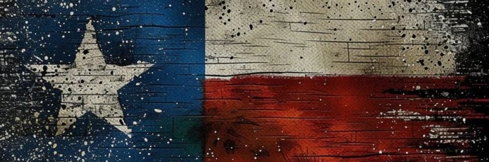 Freedom __𝓢𝓱𝓪𝓮__'s banner