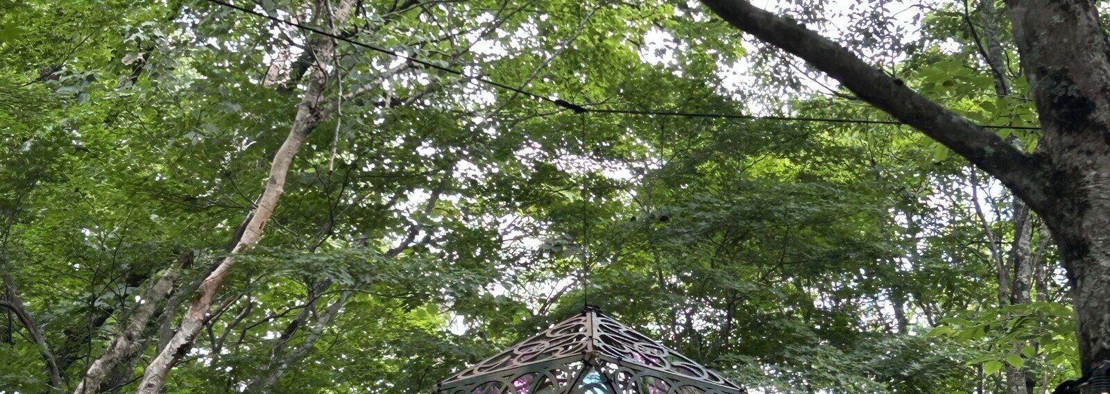 女性トイレ's banner