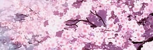 Sarina's banner