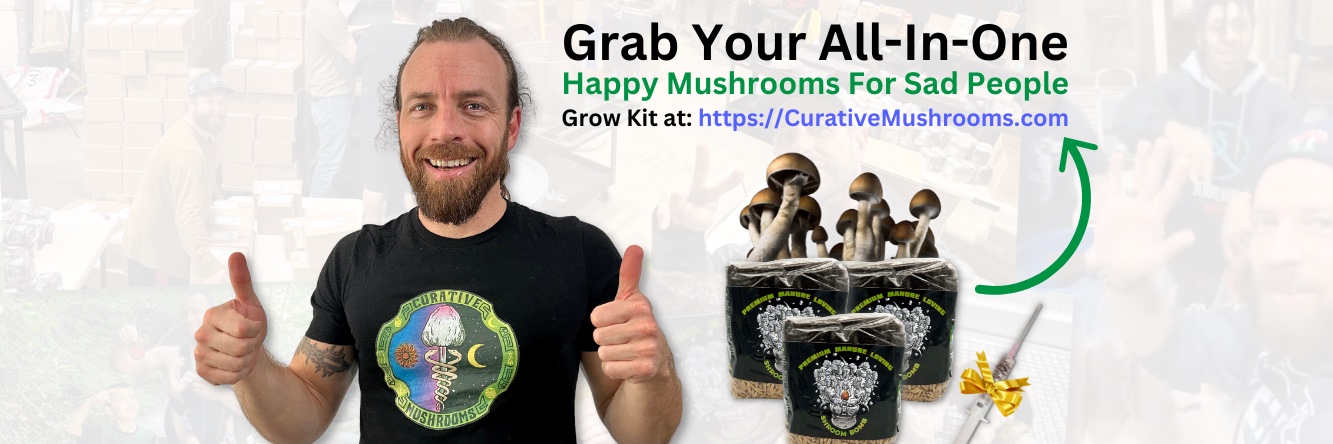 Curative Mushrooms's banner