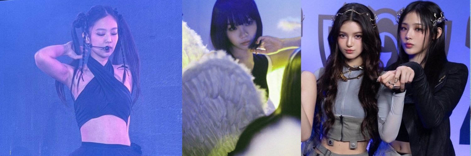 anaya's banner