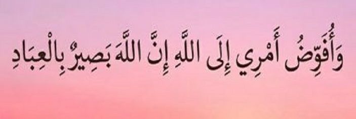 بـلـقـيـس𐩨𐩡𐩤𐩺𐩪 ‏~🇾🇪's banner