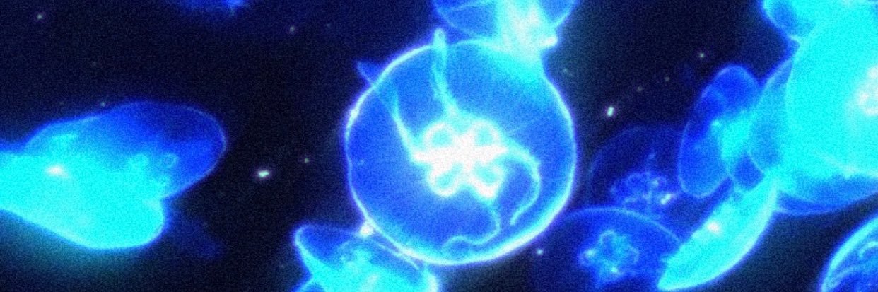 Silvia✨🍒's banner