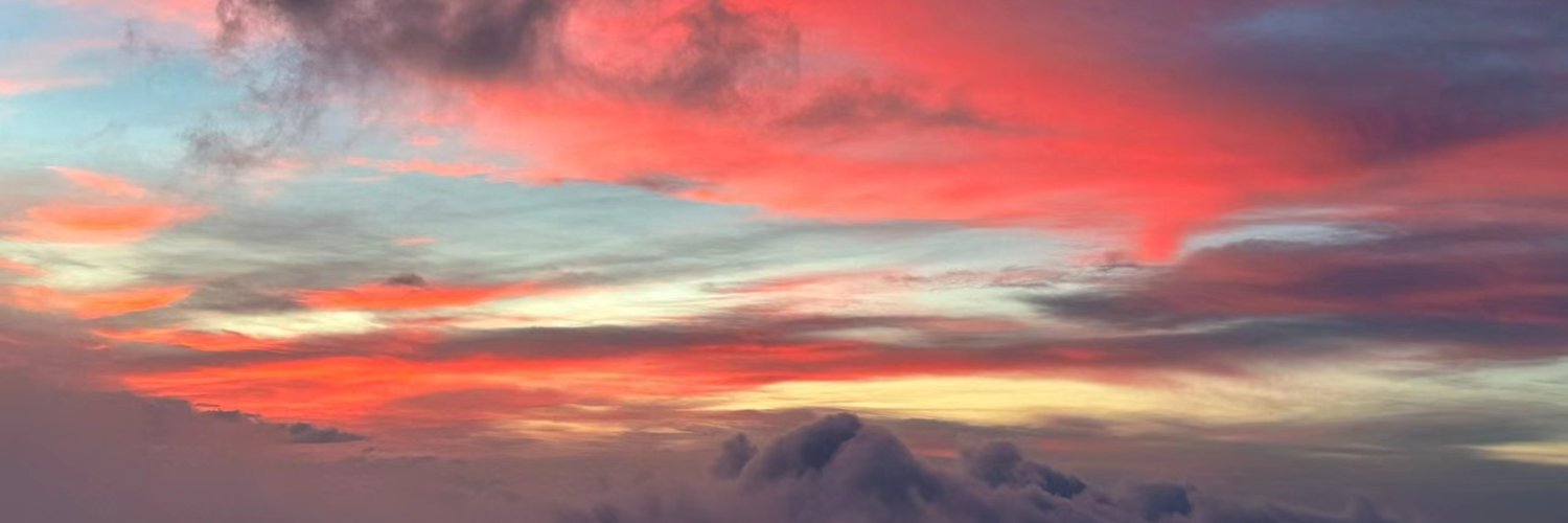 Beryl❤️🌹's banner