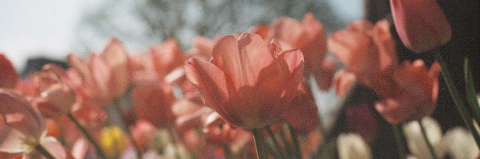 썬 ✦'s banner